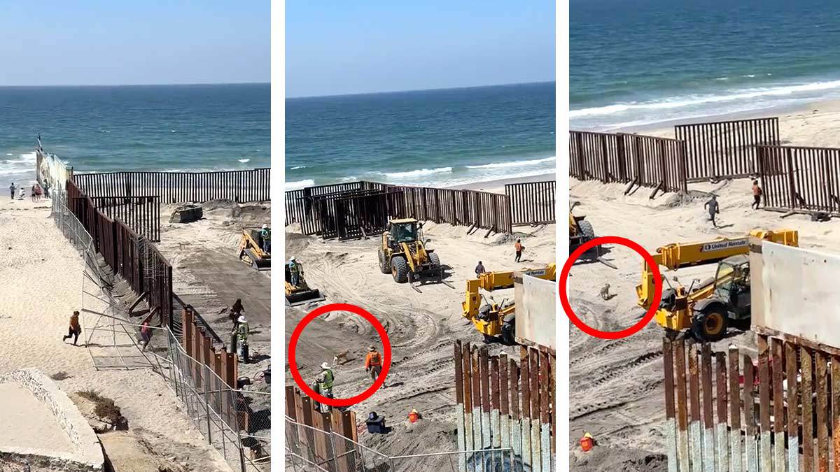 Con todo y perro: migrantes aprovechan obra para cruzar a EU desde playa de Tijuana