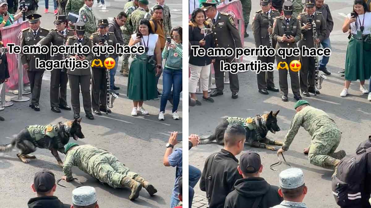 Perrito del Ejército Mexicano hace lagartijas con un militar y se hace viral; ve video