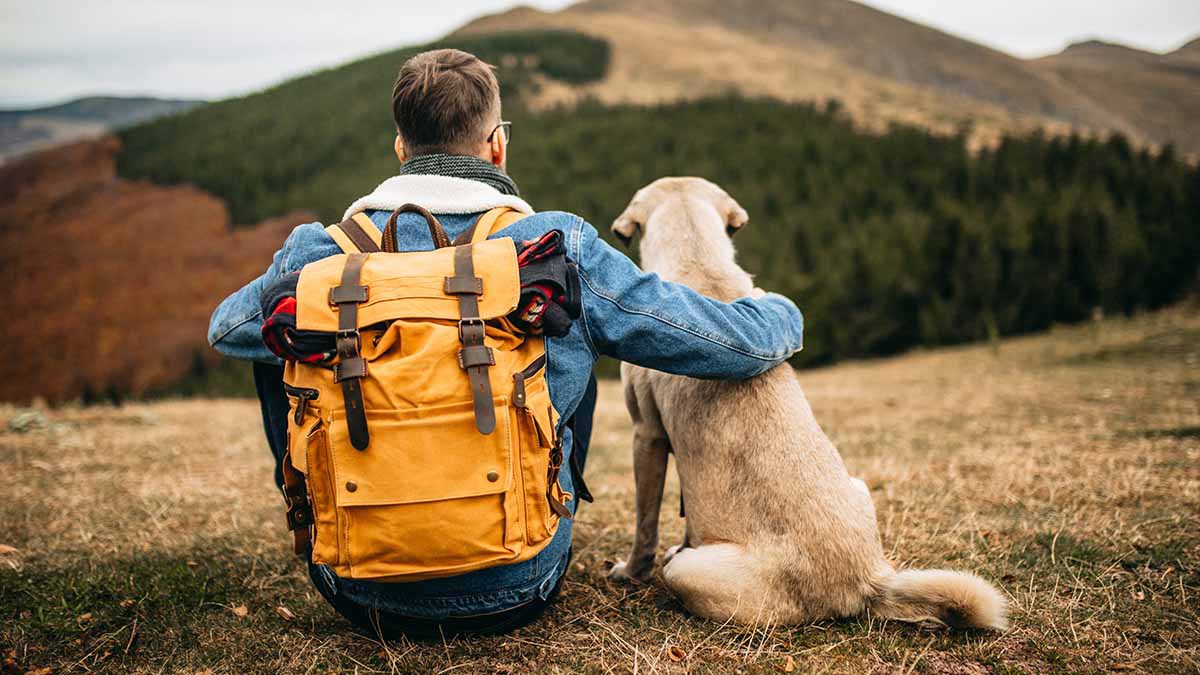 Consejos para hacer senderismo con tu perro