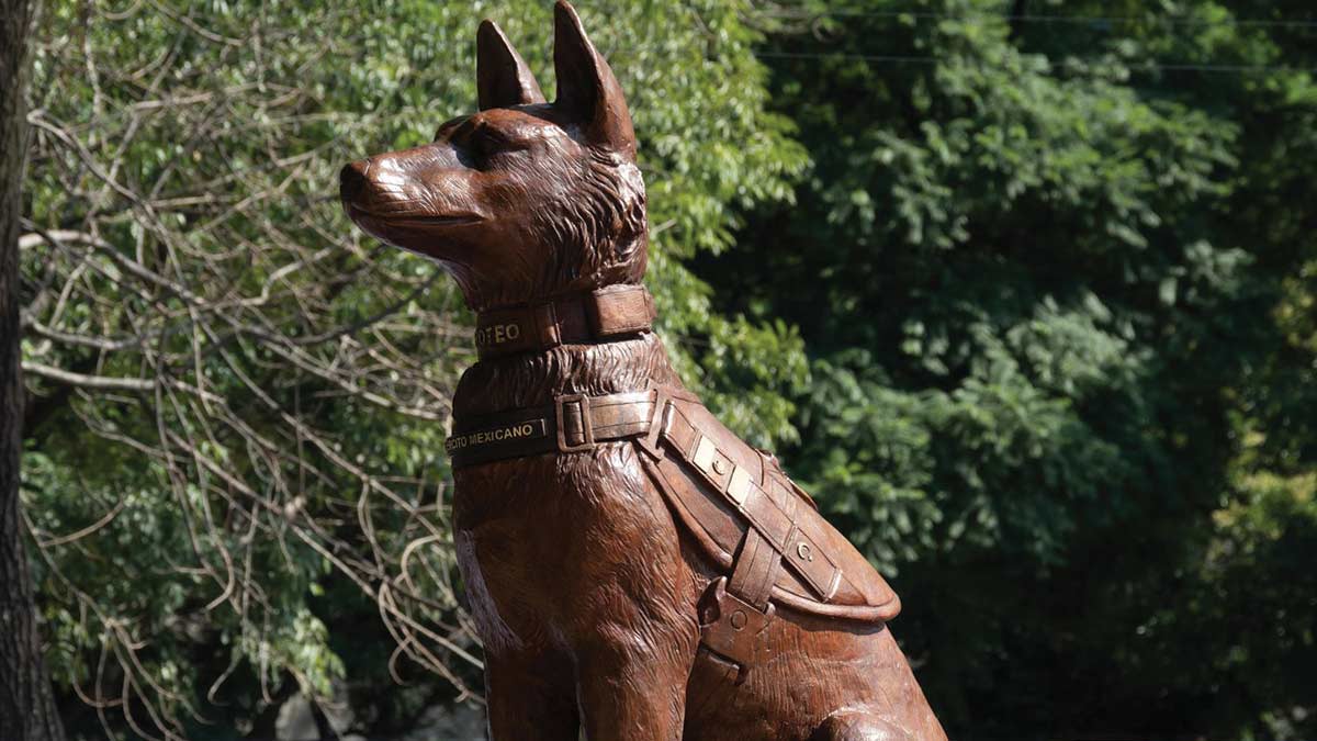 Placa y estatua para conmemorar a Proteo, can del Ejército Mexicano
