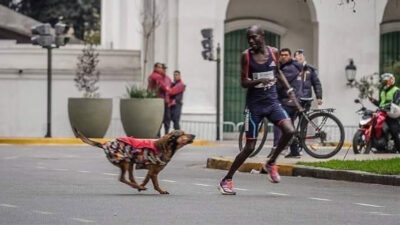 Atleta iba a ganar maratón, pero un perro le arruina el triunfo