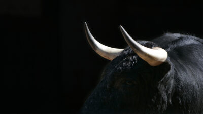 Muere un hombre tras ser corneado por un toro en una fiesta española