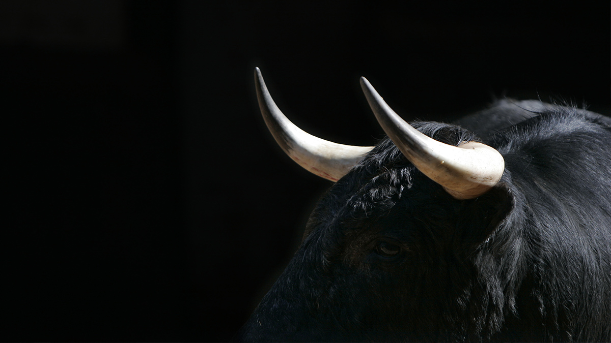 Muere un hombre tras ser corneado por un toro en una fiesta española