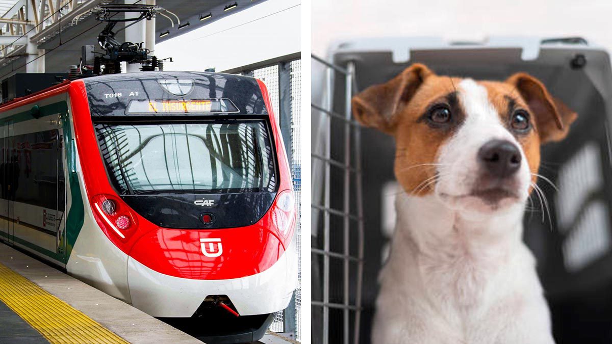 Éstas son las reglas para viajar en el Tren Interurbano con tu mascota