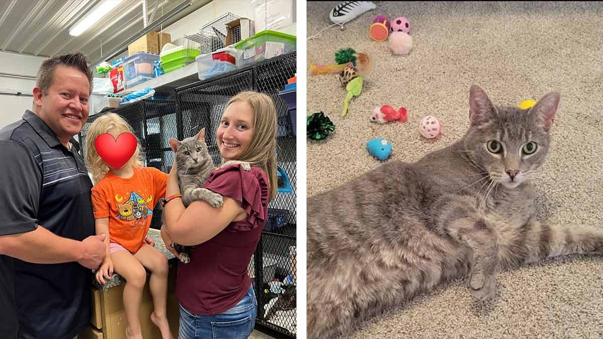 Este gatito vivió 9 años en un refugio y encontró una familia gracias a Reddit