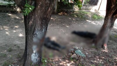 Asesinan a varios policías en Coyuca de Benítez, Guerrero