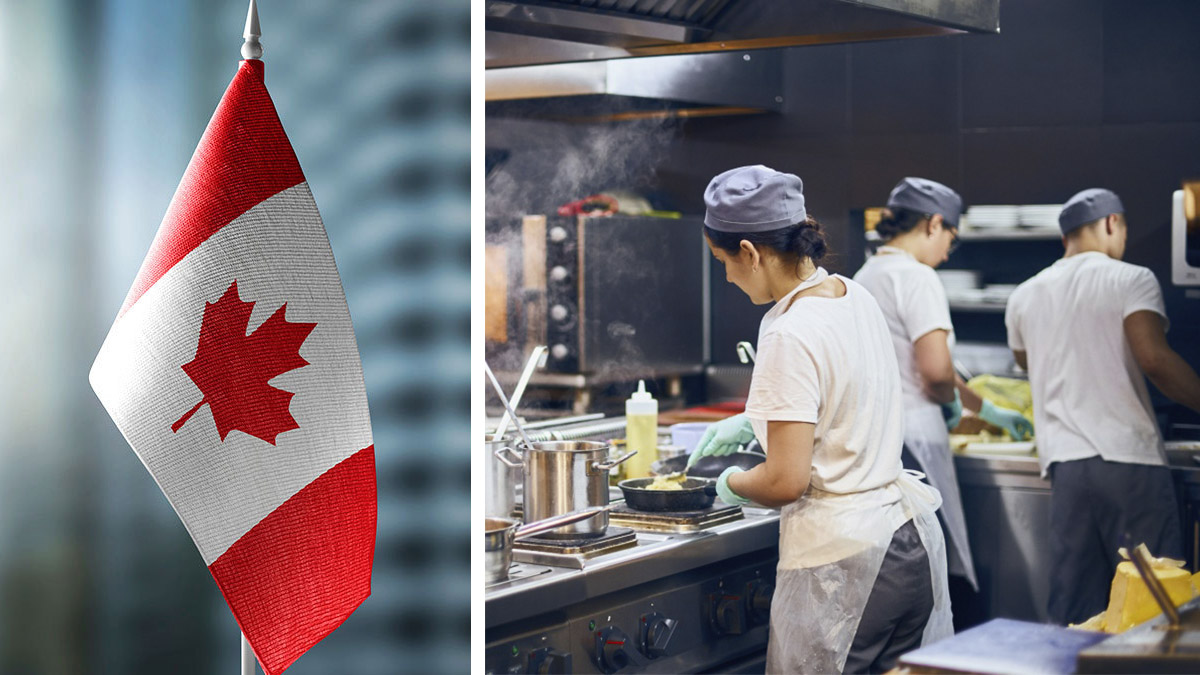 Cocinero, mecánico y más: ve 10 empleos en Canadá con sueldos de hasta 59 mil pesos