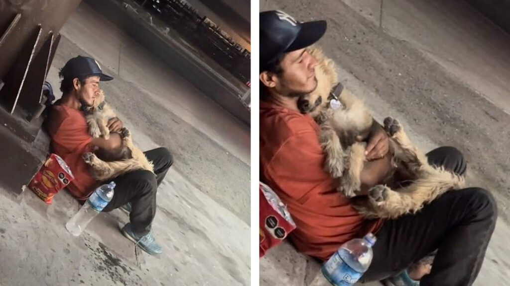 Chico en condición de calle es captado abrazando a su perrito mientras descansan