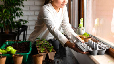 Cómo proteger a tus plantas del frío