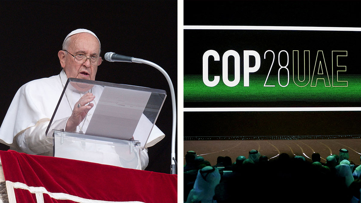 El Papa Francisco y su preocupación sobre el cambio climático