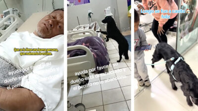 Perrito acompaña a su dueño al hospital y lo abandona