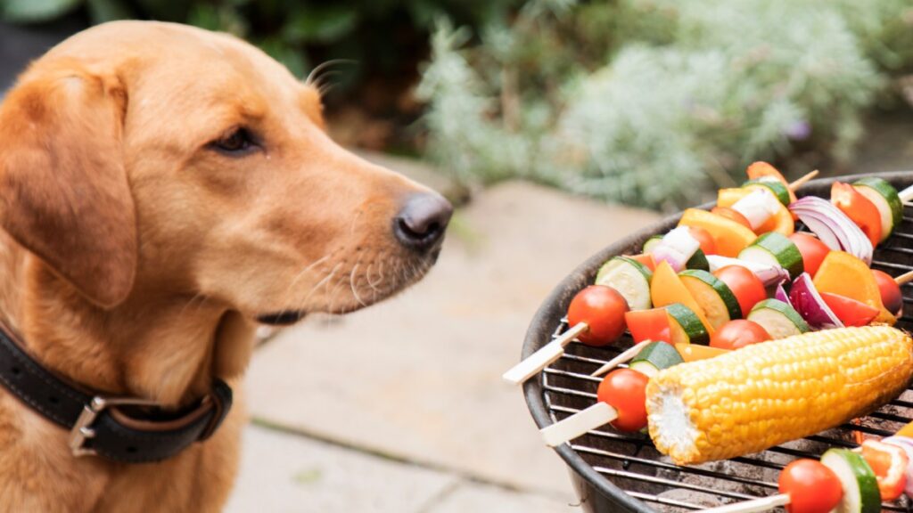 Perrito observa parrillada con banderillas y elotes sobre un asador