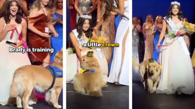 Joven gana concurso de belleza con su perro de apoyo
