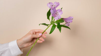 ¡Un ramito de violetas! ¿Por qué regalar flores moradas el 9 de noviembre?