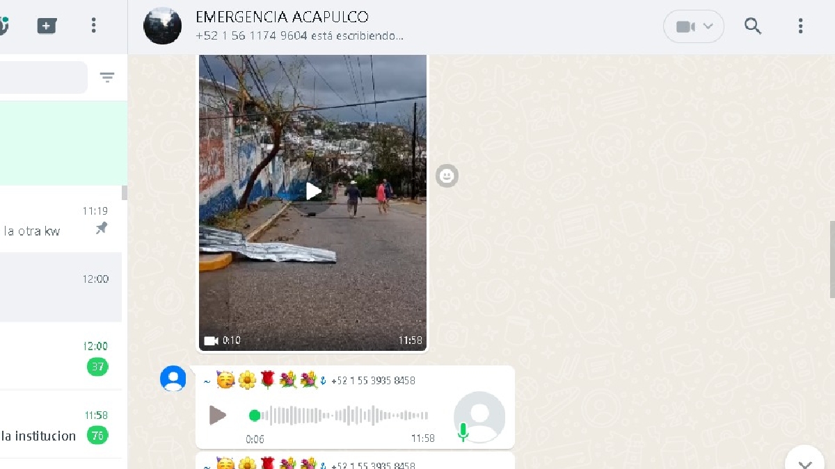 Grupos de WhatsApp donde puedes buscar y reportar a personas desaparecidas en Acapulco