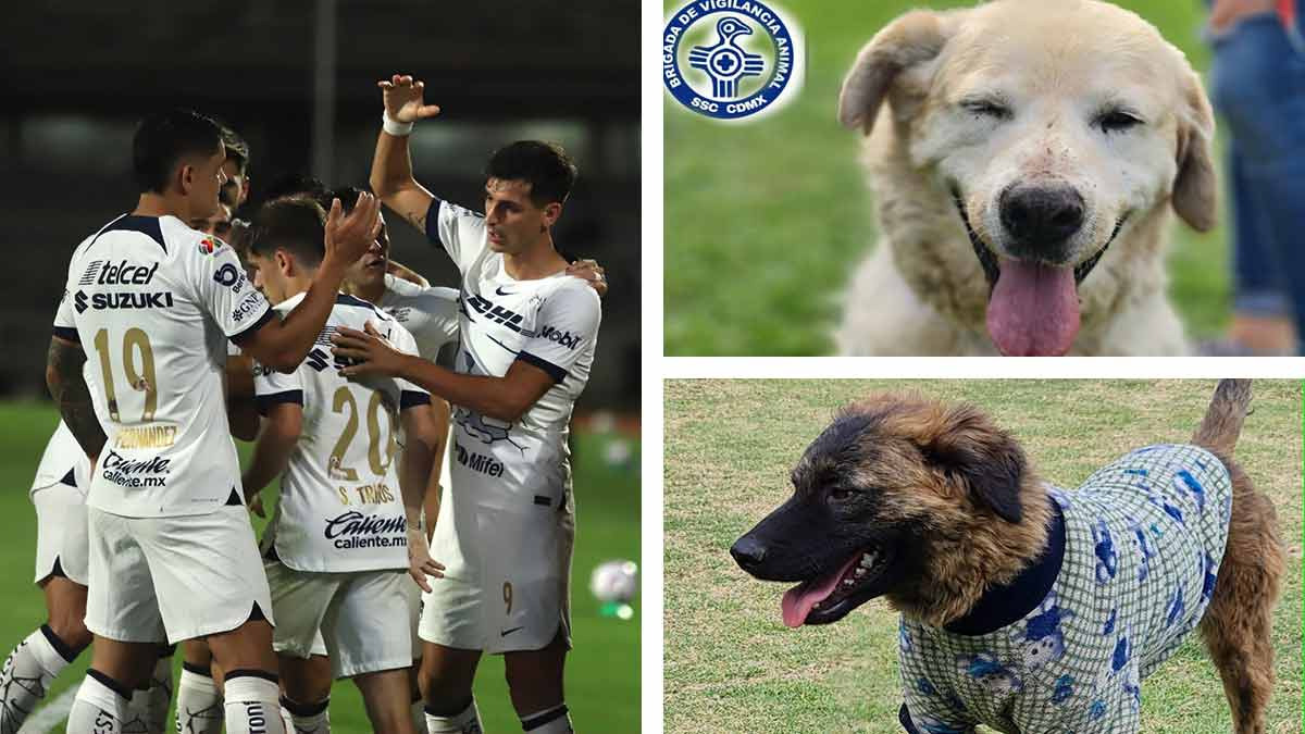 Pumas ofrece fotos con sus jugadores para promover la adopción de mascotas