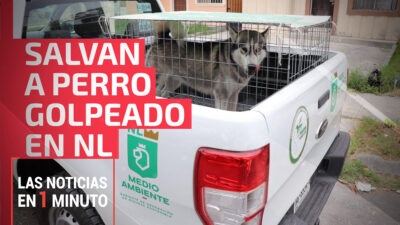 Las noticias de hoy, 26 de octubre de 2023, en un minuto, hasta las 14:00 horas