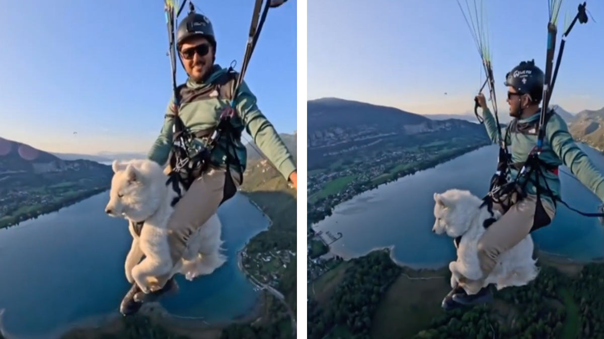 TikToker se lanza de paracaídas con su perro y desata críticas