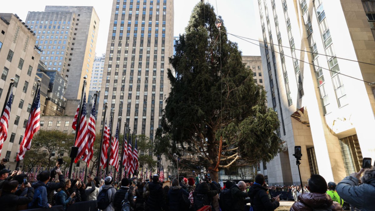Oficialmente inaugurada la Navidad: arriba icónico árbol al Rockefeller Center