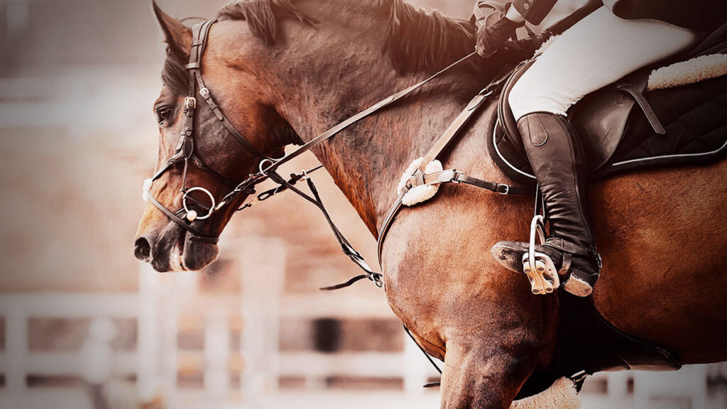 Marco Flores, vocalista de Banda Jerez, sufre accidente con caballo en grabación de cli