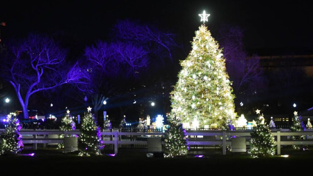 Cae el arbol de Navidad de la Casa Blanca