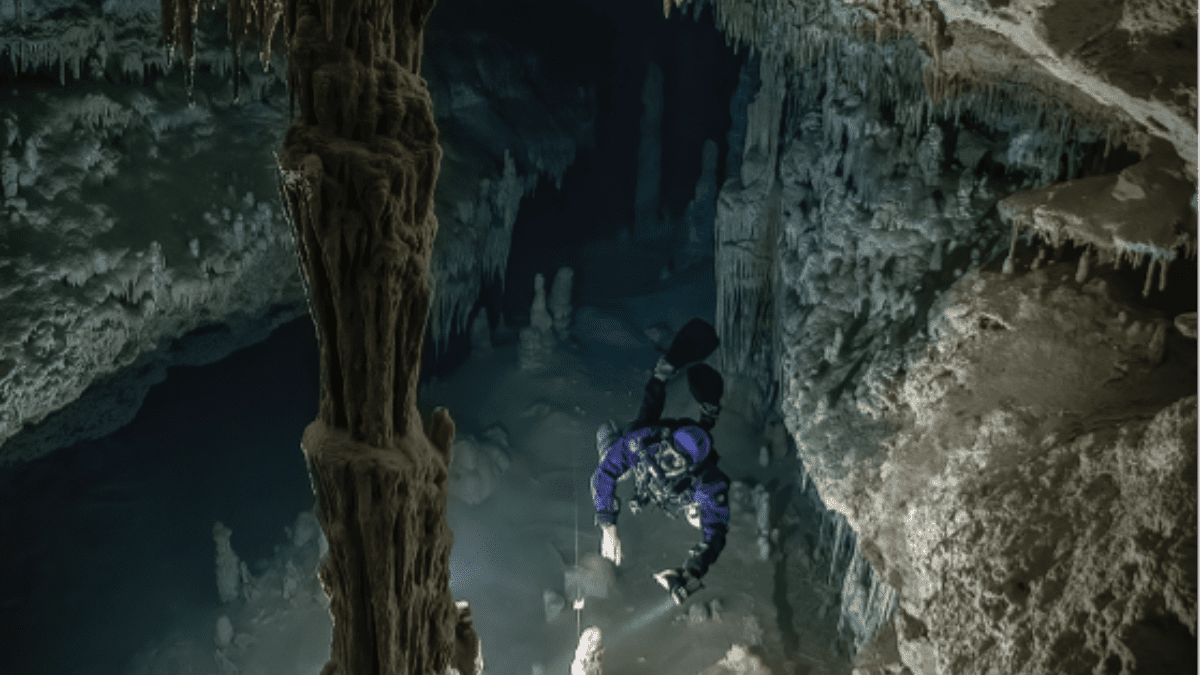 Cuevas submarinas de Yucatán esconden un enorme catálogo de vida y otros misterios, según estudio