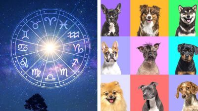 Horóscopos: ¿Qué raza de perro debes de tener, según tu signo zodiacal?