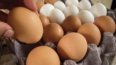 Precio de huevo en México sube