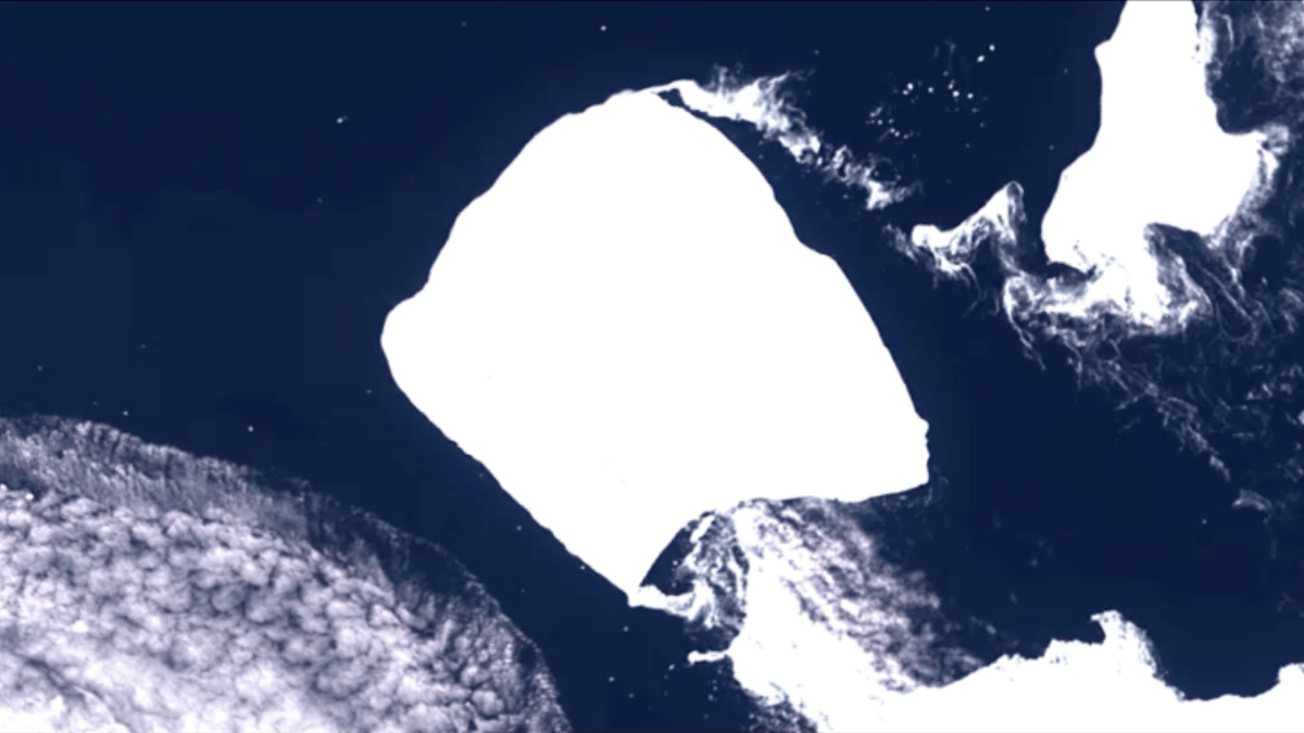 Iceberg más grande del mundo comienza a moverse tras 30 años: ¿hacia dónde se dirige?