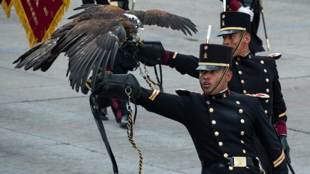 Convocatoria para licenciatura 2024 del Ejército requisitos y proceso