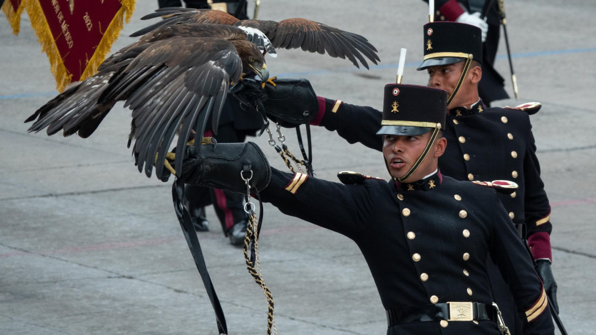 Ejército Mexicano lanza convocatoria para licenciatura y posgrados 2024: ¿cuáles son los requisitos?