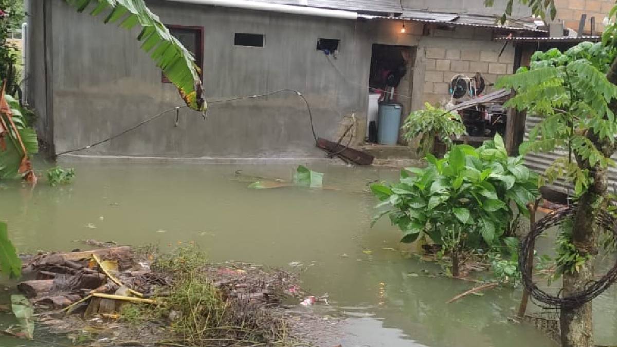 Se desbordan ríos en Chiapas por fuertes lluvias y dejan afectaciones: imágenes