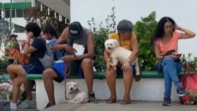 Personas con perros esperando en fila en una clínica veterinaria en Acapulco