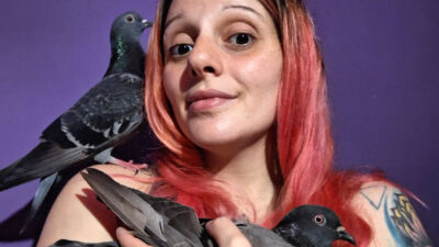 Mujer rescata y da refugio a más de 500 pájaros