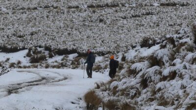 Senderistas en camino lleno de nieve en el Volcán Xinantécatl