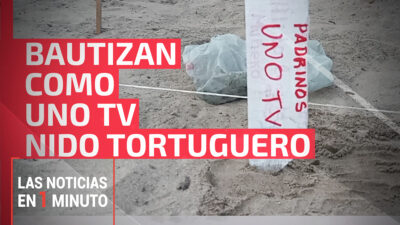 Noticias de hoy 21 de noviembre 2023, hasta las 19 horas