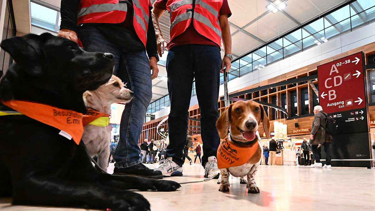 Una “patrulla canina” calma a los viajeros en el aeropuerto de Berlín