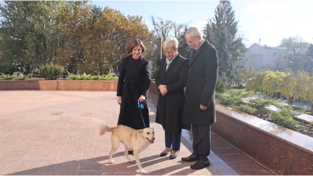 ¿Y los modales? Perro de la líder de Moldavia rompe “protocolo diplomático” y muerde al presidente de Austria