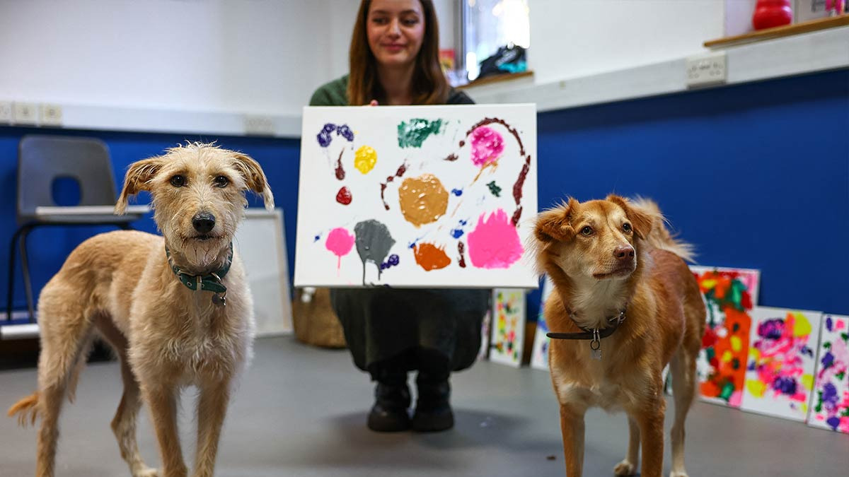 Cuadros pintados por perritos abandonados serán subastados para darles ayuda