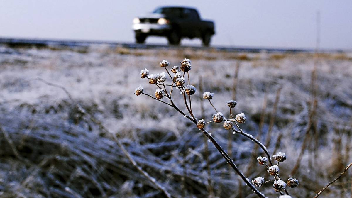 Cae la primera nevada, se activa el “congelador de México” en Durango