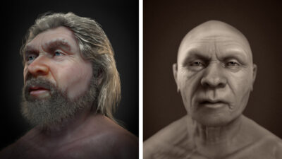 Reconstruyen el rostro desgastado del 'viejo' neandertal en una nueva e increíble reconstrucción facial