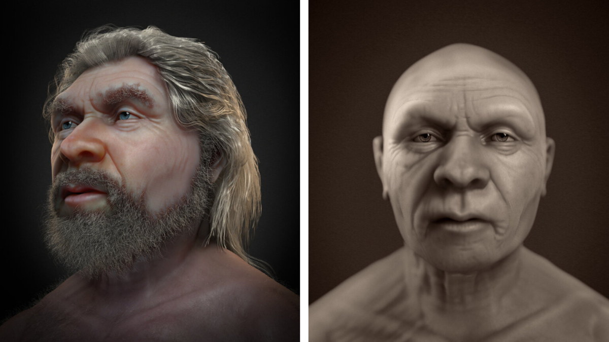 Así se ve el rostro de un neandertal gracias a una increíble reconstrucción facial