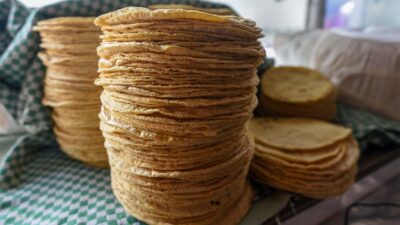 kilo de tortillas en guerrero por otis