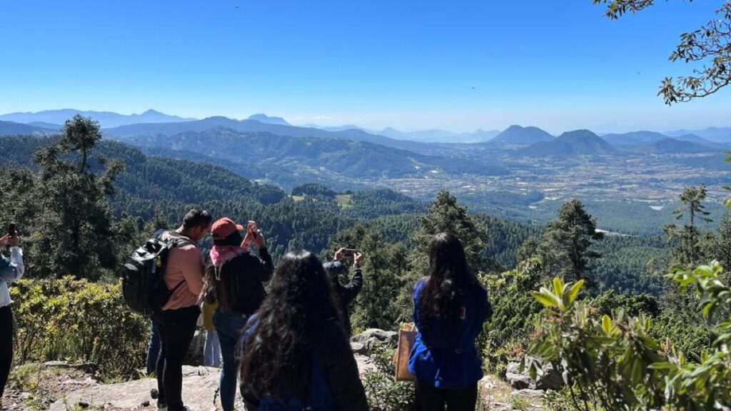 Santuarios de mariposas monarca abren en Michoacán