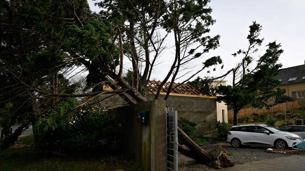 Árboles derribados por el viento mataron a una mujer en España. Foto: AFP