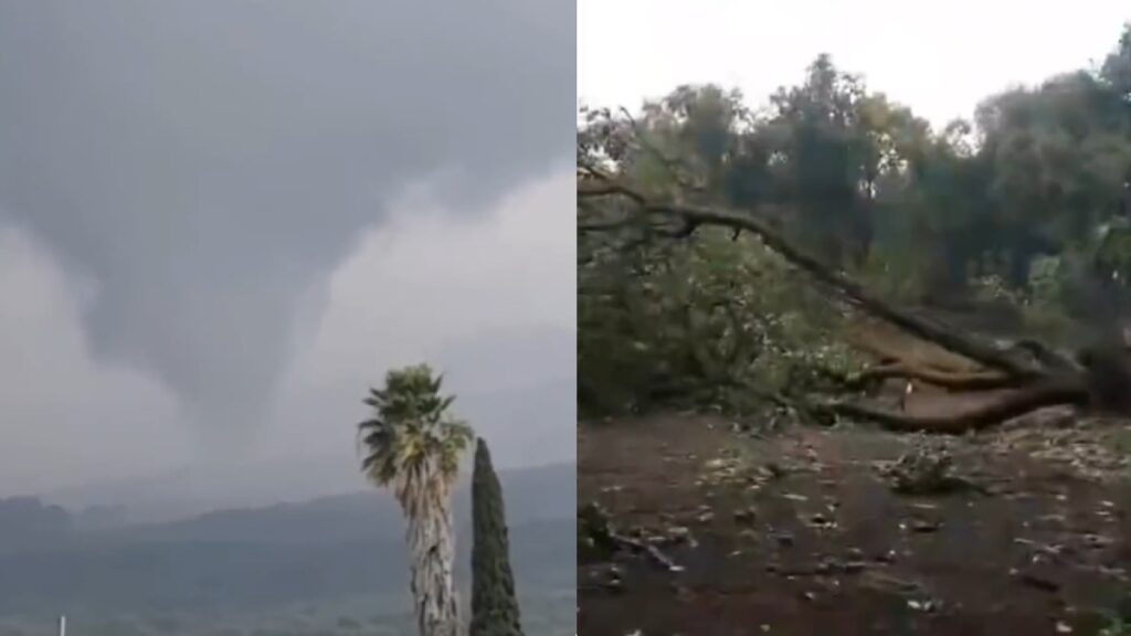 Tornado en Peribán, Michoacán, destruye huertas de aguacate; video