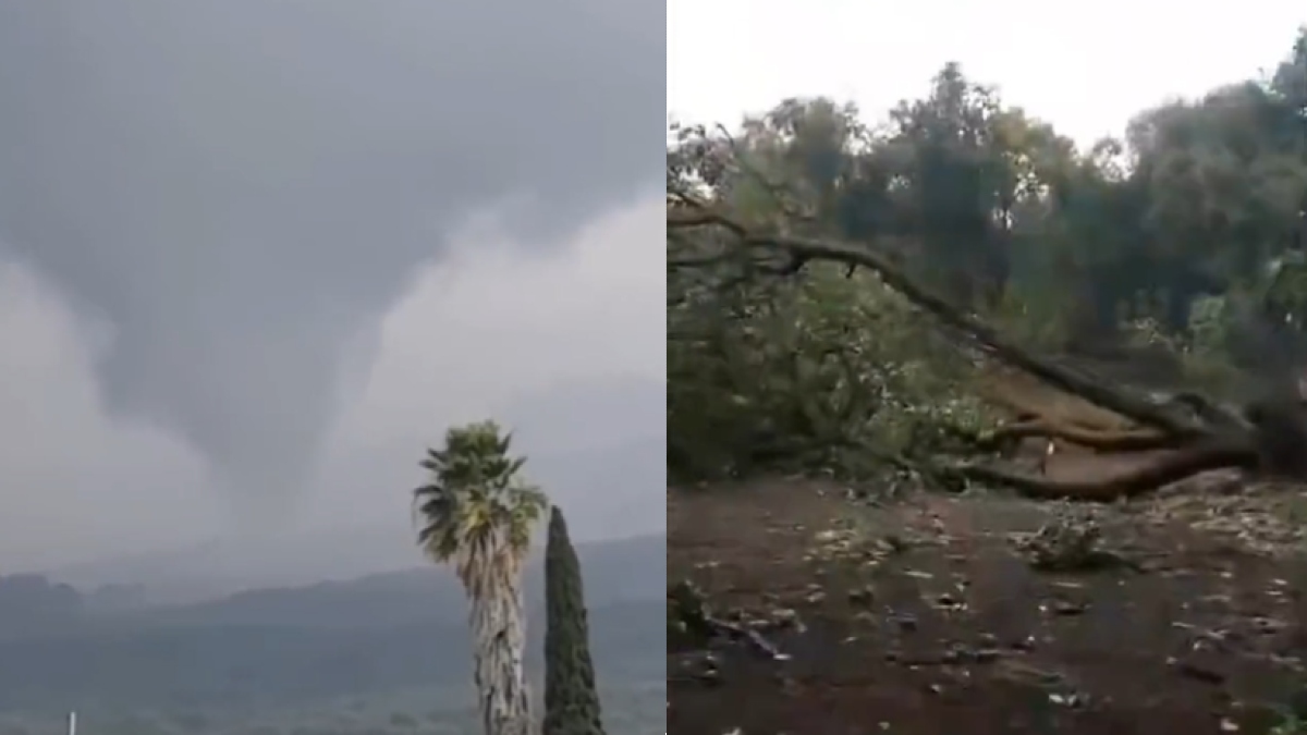 Tornado azota Peribán, Michoacán, y destruye huertas de aguacate; video