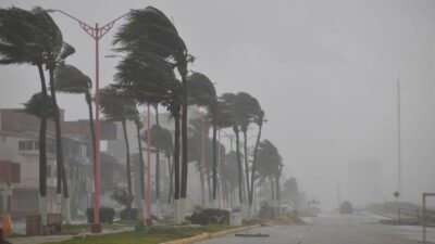 Viento fuerte y lluvia mueven palmeras en Veracruz