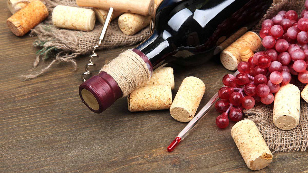 ¿A qué temperatura se debe servir el vino tinto? 