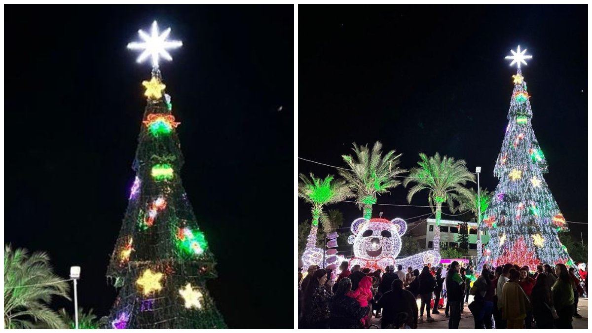 Un colorido árbol de Navidad y un monumental oso alegran las fiestas en La Paz, Baja California Sur